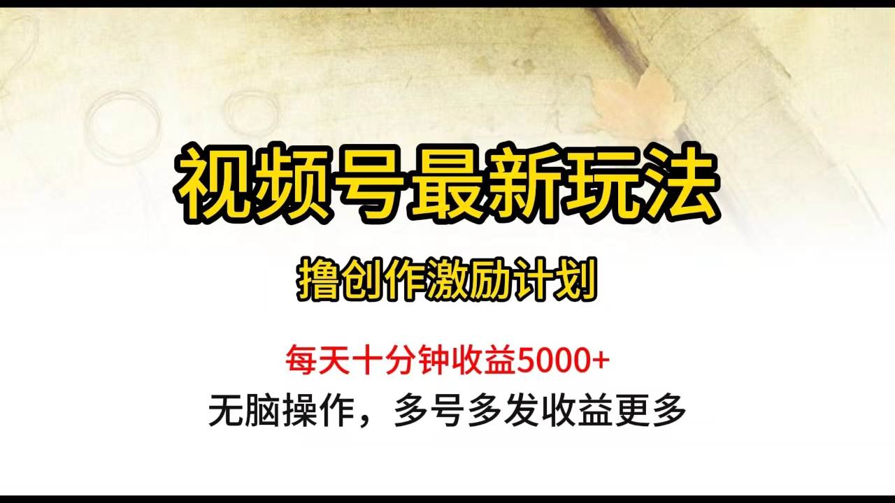 视频号最新玩法，每日一小时月入5000+-六道网创