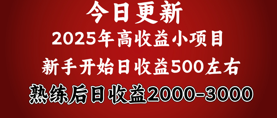 好项目一眼就能看出来，日收益1000，长久可做，2025拼的就是我比你勤奋-六道网创