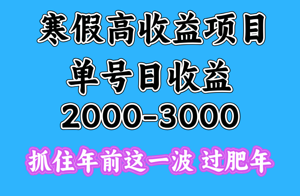 寒假期间一天收益2000-3000+，抓住年前这一波-六道网创