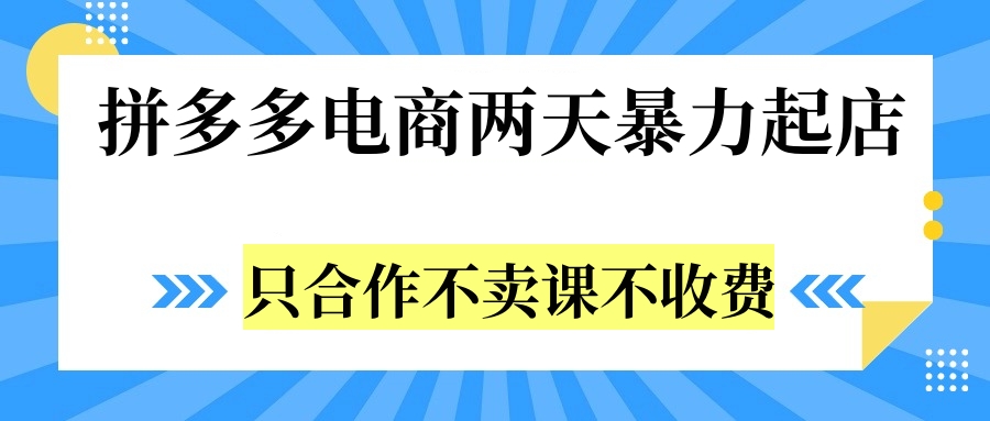 拼多多两天暴力起店，只合作不卖课不收费-六道网创