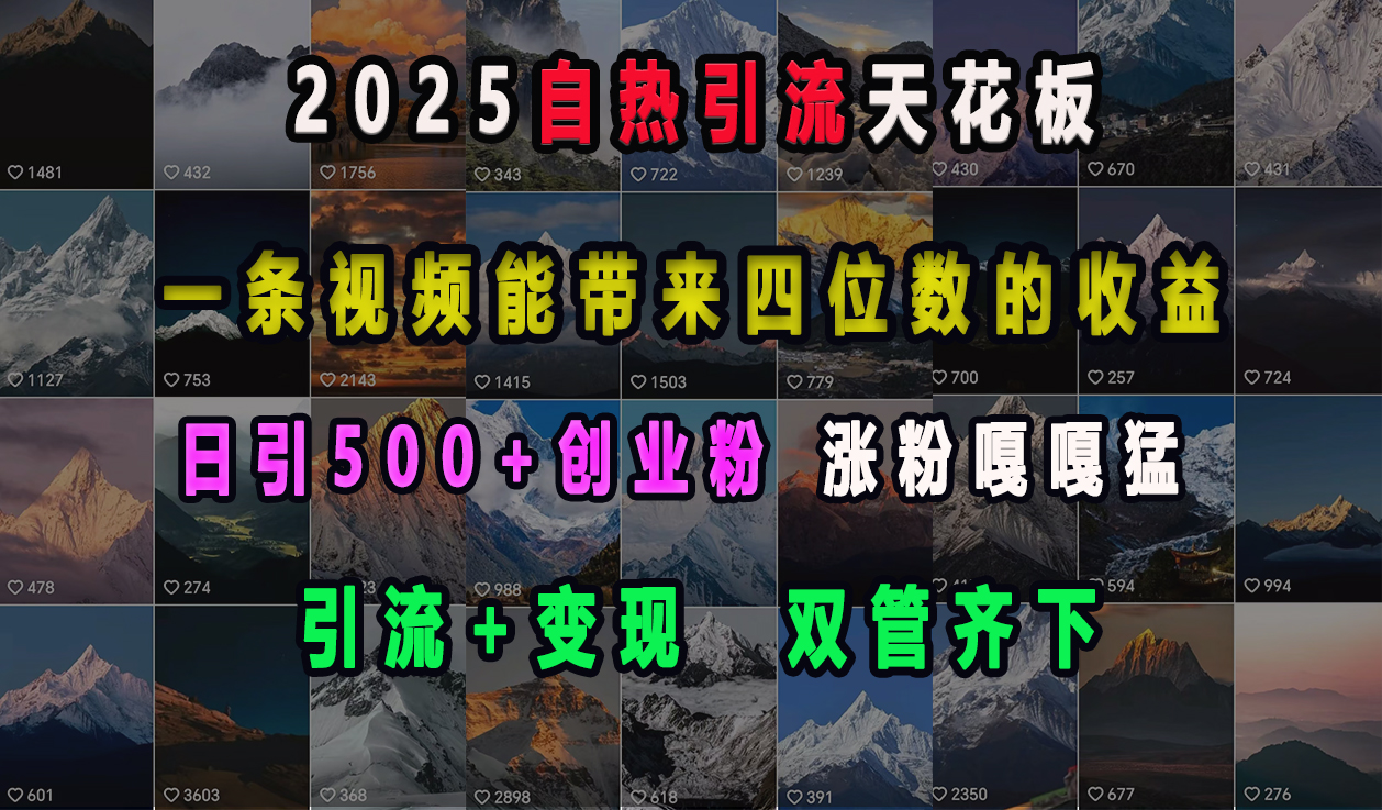 2025自热引流天花板，一条视频能带来四位数的收益，引流+变现双管齐下，日引500+创业粉，涨粉嘎嘎猛-六道网创