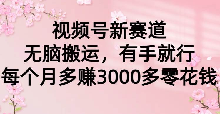 视频号新赛道，无脑搬运，有手就行，每个月多赚3000多零花钱-六道网创