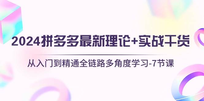 2024拼多多 最新理论+实战干货，从入门到精通全链路多角度学习-7节课-六道网创