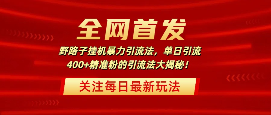 全网首发，野路子挂机暴力引流法，单日引流400+精准粉的引流法大揭秘！-六道网创