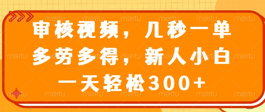 审核视频项目，几秒一单，多劳多得，新人小白一天轻松300+-六道网创