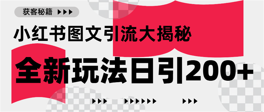 小红书图文引流，只需一张图片即可撬动百万流量，日引200+创业粉-六道网创