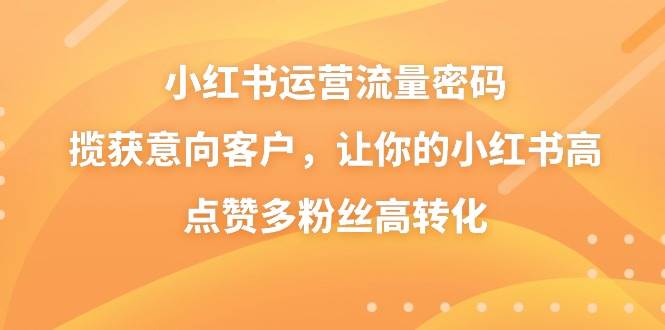 小红书运营流量密码，揽获意向客户，让你的小红书高点赞多粉丝高转化-六道网创