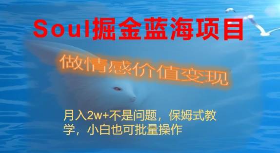 Soul掘金蓝海项目细分赛道，做情感价值变现，月入2w+不是问题-六道网创