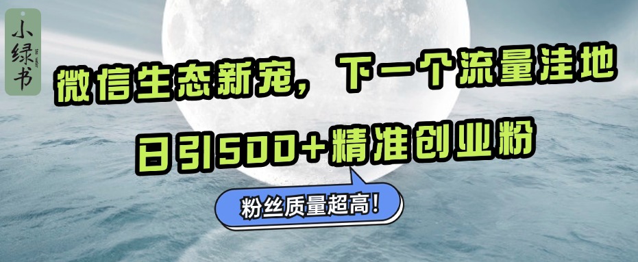 微信生态新宠小绿书：下一个流量洼地，粉丝质量超高，日引500+精准创业粉，-六道网创