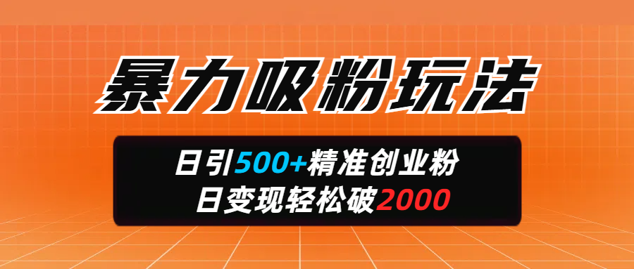 暴力吸粉玩法，日引500+精准创业粉，日变现轻松破2000-六道网创