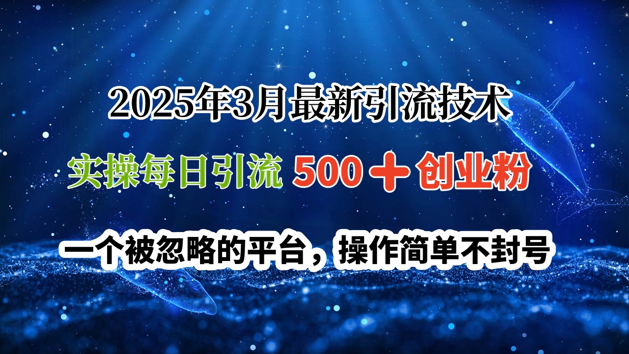 2025年3月最新引流技术，实操每日引流500➕创业粉，一个被忽略的平台，操作简单不封号-六道网创