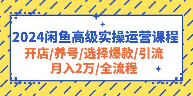 2024闲鱼高级实操运营课程：开店/养号/选择爆款/引流/月入2万/全流程-六道网创