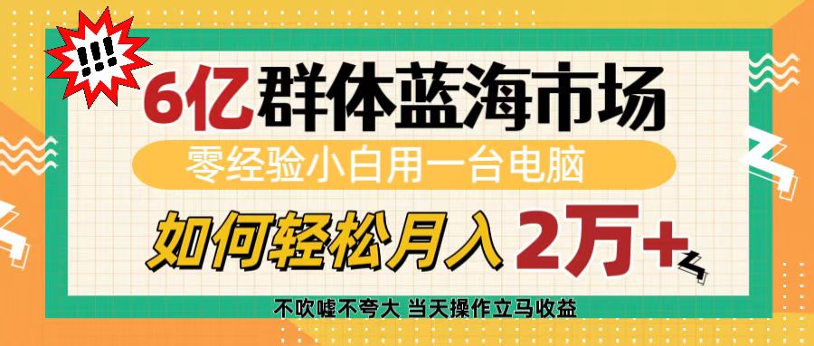 6亿群体蓝海市场，零经验小白用一台电脑，如何轻松月入2万+-六道网创