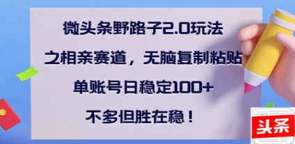 全网首发微头条野路子2.0玩法之相亲赛道，无脑搬砖复制粘贴，单账号日稳定300+保姆级教程-六道网创