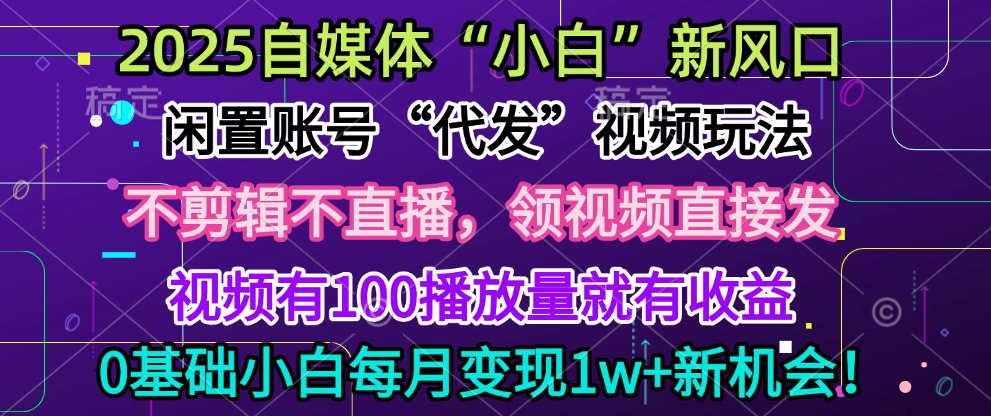 2025每月躺赚5w+新机会，闲置视频账号一键代发玩法，0粉不实名不剪辑，领了视频直接发，0基础小白也能日入300+-六道网创