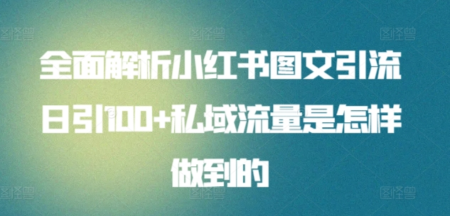 日引流100私域流量小红书图文是怎样做到的全面解析-六道网创