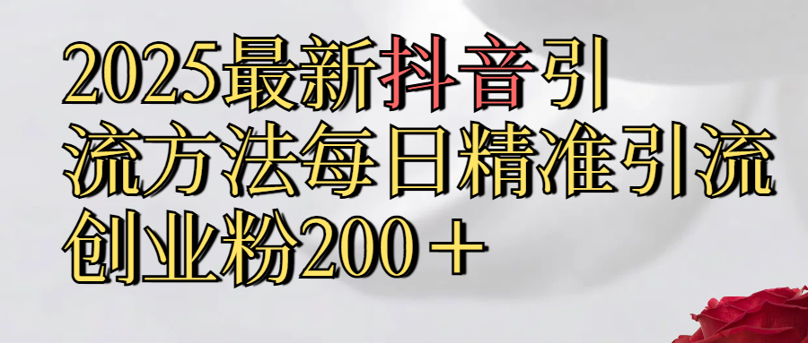 2025最新,抖音引流,方法每日精准引流创业粉300＋-六道网创