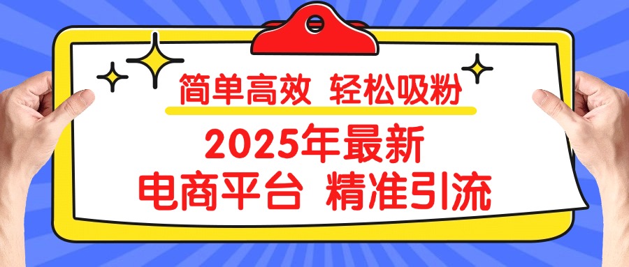 2025年最新电商平台精准引流 简单高效 轻松吸粉-六道网创