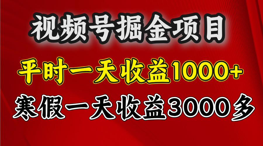 视频号掘金项目，寒假一天收益3000多-六道网创