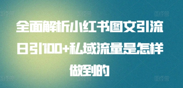 暴力引流 小红书图文引流日引100私域全面拆解【打粉人必看】-六道网创