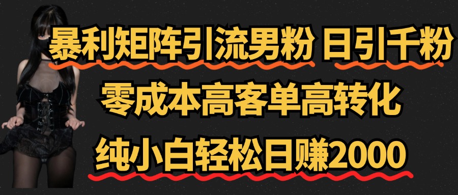 暴利矩阵引流男粉（日引千粉），零成本高客单高转化，纯小白轻松日赚2000+-六道网创