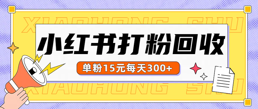 小红书打粉，单粉15元回收每天300+-六道网创