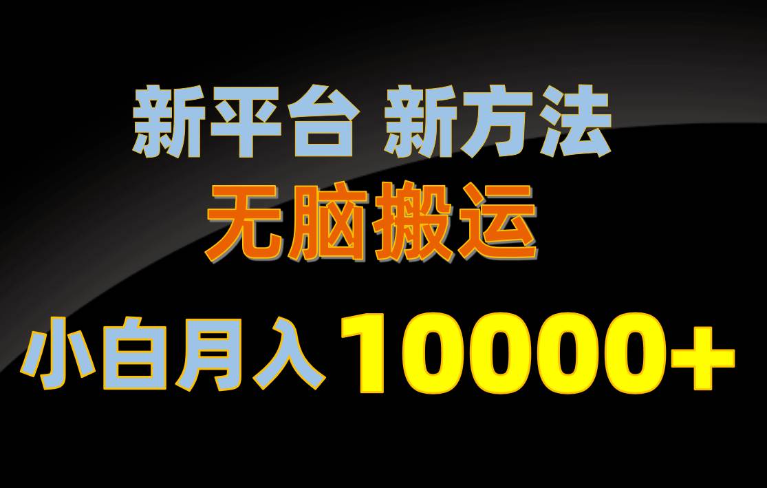 新平台新方法，无脑搬运，月赚10000+，小白轻松上手不动脑-六道网创