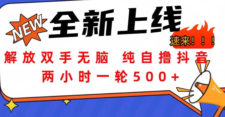 解放双手无脑 纯自撸抖音 两小时一轮500+-六道网创