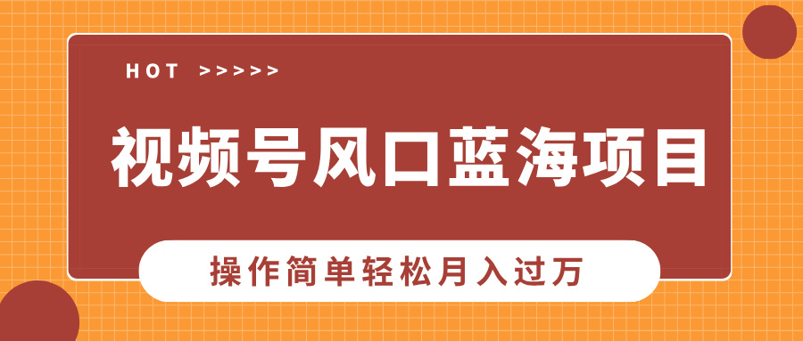 视频号风口蓝海项目，中老年人的流量密码，操作简单轻松月入过万-六道网创