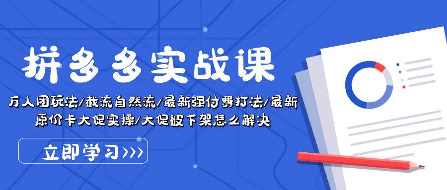 拼多多·实战课：万人团玩法/截流自然流/最新强付费打法/最新原价卡大促..-六道网创