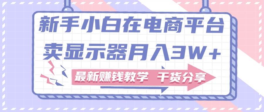 新手小白如何做到在电商平台卖显示器月入3W+，最新赚钱教学干货分享-六道网创