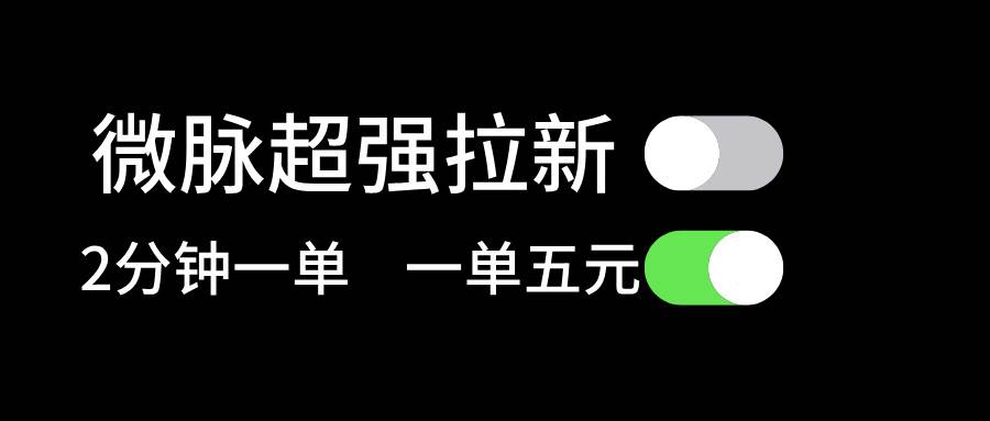 微脉超强拉新， 两分钟1单， 一单利润5块，适合小白-六道网创