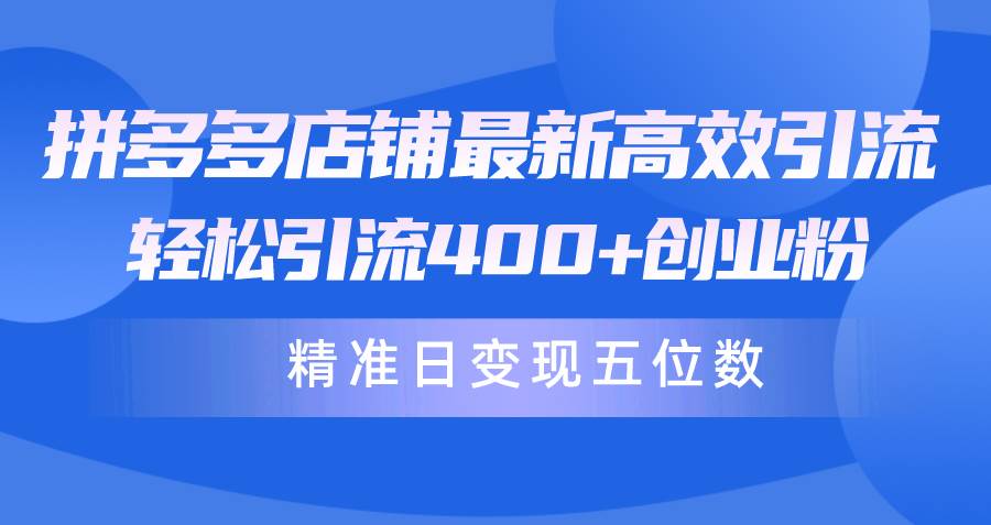 拼多多店铺最新高效引流术，轻松引流400+创业粉，精准日变现五位数！-六道网创