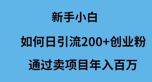 新手小白如何日引流200+创业粉通过卖项目年入百万-六道网创