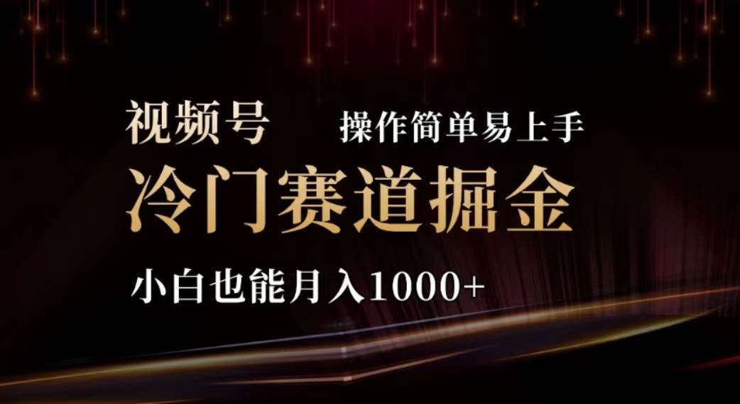 2024视频号冷门赛道掘金，操作简单轻松上手，小白也能月入1000+-六道网创