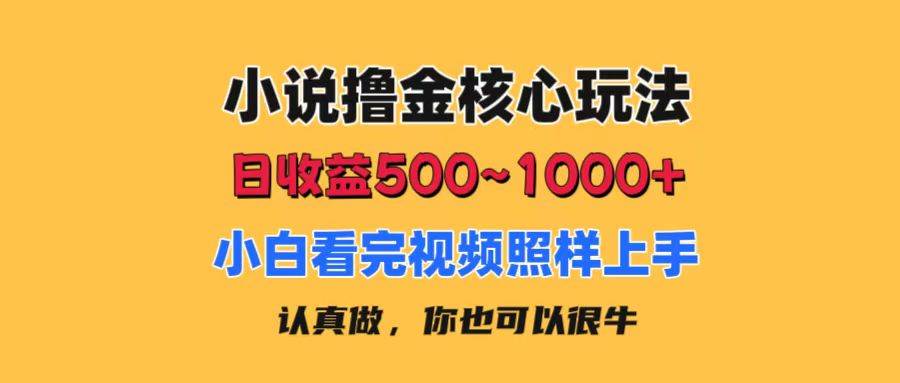 小说撸金核心玩法，日收益500-1000+，小白看完照样上手，0成本有手就行-六道网创