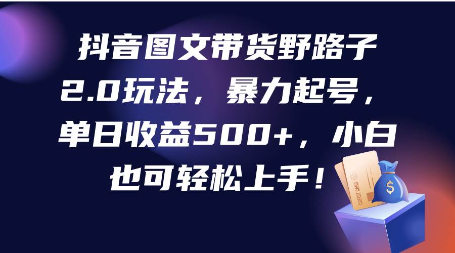 抖音图文带货野路子2.0玩法，暴力起号，单日收益500+，小白也可轻松上手！-六道网创