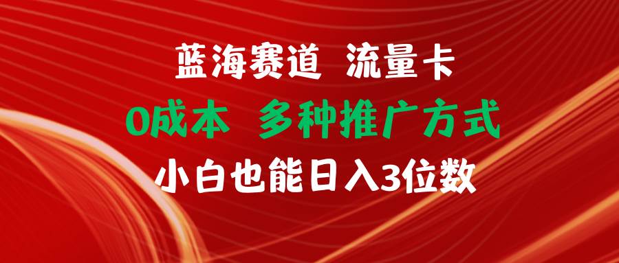 蓝海赛道 流量卡 0成本 小白也能日入三位数-六道网创