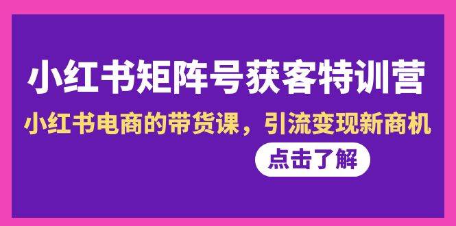 小红书-矩阵号获客特训营-第10期，小红书电商的带货课，引流变现新商机-六道网创