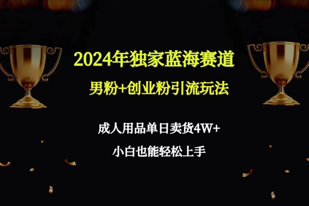 2024年独家蓝海赛道男粉+创业粉引流玩法，成人用品单日卖货4W+保姆教程-六道网创