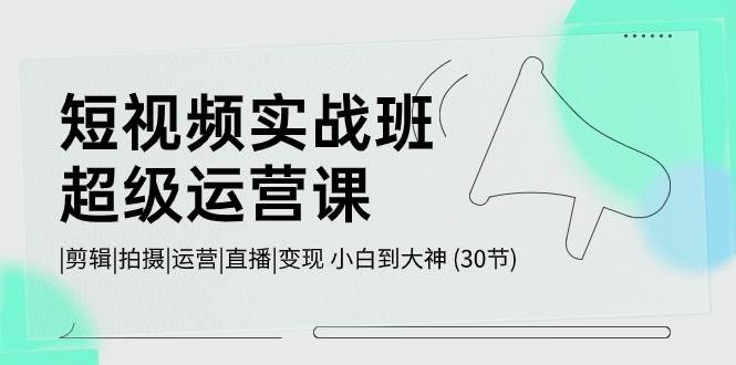 短视频实战班-超级运营课，|剪辑|拍摄|运营|直播|变现 小白到大神 (30节)-六道网创