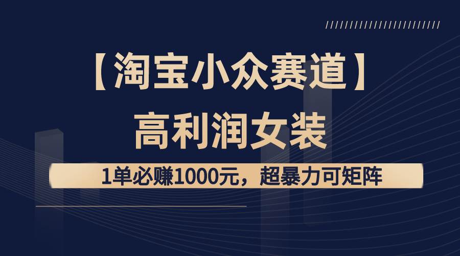 【淘宝小众赛道】高利润女装：1单必赚1000元，超暴力可矩阵-六道网创