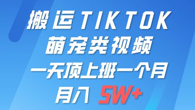 一键搬运TIKTOK萌宠类视频 一部手机即可操作 所有平台均可发布 轻松月入5W+-六道网创