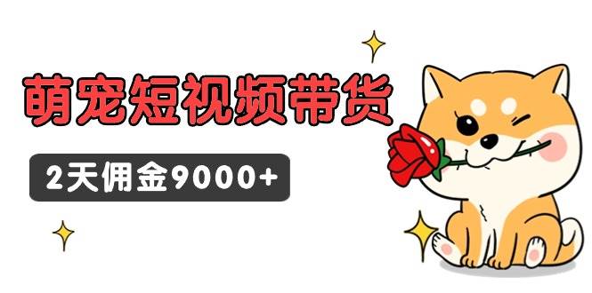 东哲日记·萌宠短视频带货，2天佣金9000+-六道网创