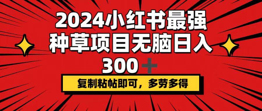 2024小红书最强种草项目，无脑日入300+，复制粘帖即可，多劳多得-六道网创