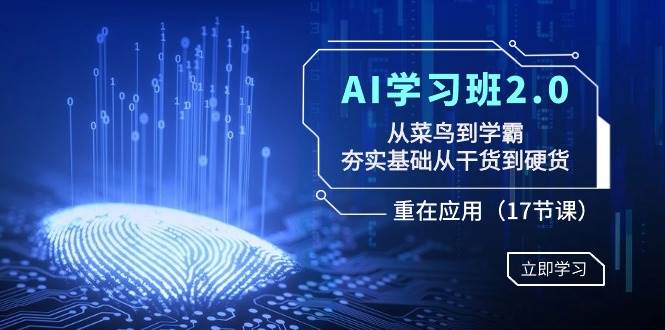 AI学习班2.0：从菜鸟到学霸，夯实基础从干货到硬货，重在应用（17节课）-六道网创