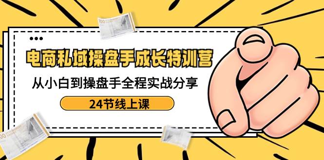 电商私域-操盘手成长特训营：从小白到操盘手全程实战分享-24节线上课-六道网创