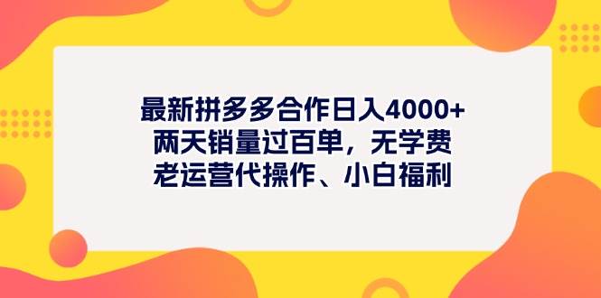 最新拼多多项目日入4000+两天销量过百单，无学费、老运营代操作、小白福利-六道网创