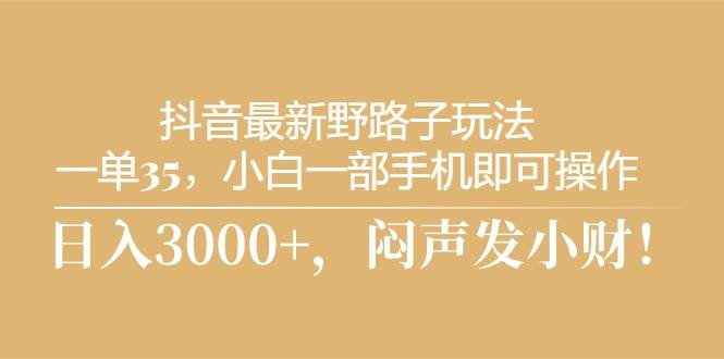 抖音最新野路子玩法，一单35，小白一部手机即可操作，，日入3000+，闷…-六道网创