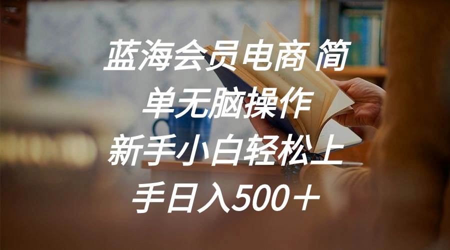 蓝海会员电商 简单无脑操作 新手小白轻松上手日入500＋-六道网创